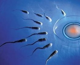 泰国试管婴儿医院排名公布，附排名前五试管婴儿医院名单！