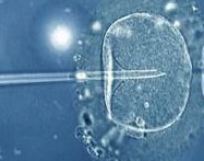 着床后7-10天用试纸测出怀孕，晚的也要20天后验孕