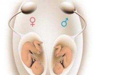 试管移植前为啥要注射贝依？三大功效，一文给你讲明白！