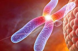 用手机手电筒照宝宝鼻孔有事吗？能检查新生儿鼻子状况