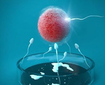 特需试管婴儿几代试管更好？