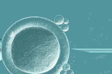 女性子宫肌瘤在锦州市妇婴医院做三代试管预算八万块够不够？